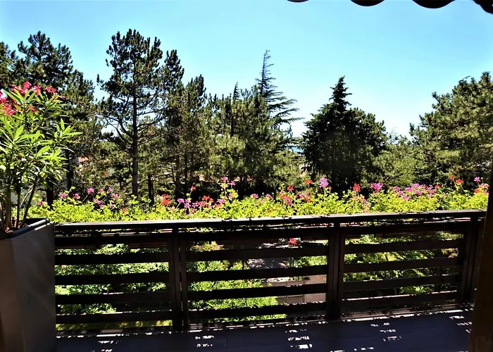 Trieste59 4* Trieste